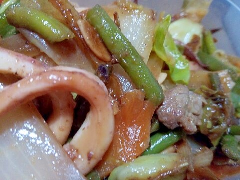 イカと牛肉の野菜炒め